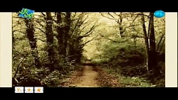 همایون شجریان _ دل به دل