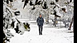 کلیپ عاشقانه...حجت اشرف زاده.....