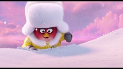 دانلود و تماشای انیمیشن پرندگا...