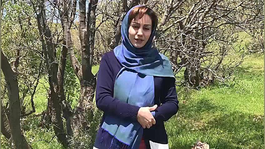 نارسایی سرویکس یا نارسایی دهانه ی رحم دکتر دنیا خسروی