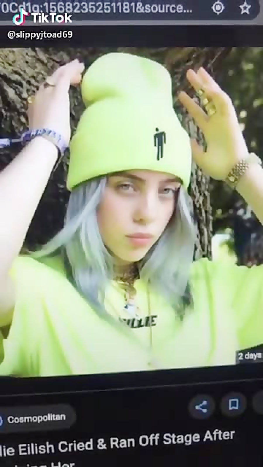 tiktok از billie eilish