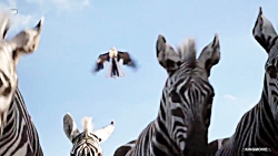 فیلم سینمایی (شیر شاه، 2019) ز...