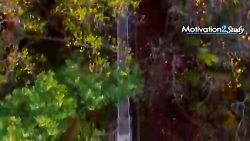 ایلان ماسک   مرد آهنین واقعی