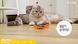 کلیپ خنده دار: حمله هزارپا به...