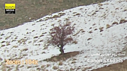 تست زوم فارسی دوربین Canon SH6...