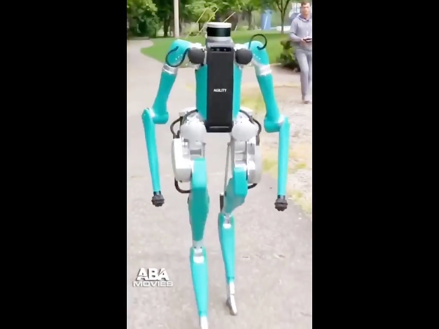 جالب  دیدنی  عجیب (2019)