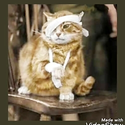 بوده نامش از قدیم ایران زمین