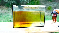 آزمایش نوشابه کوکاکولا در شرای...