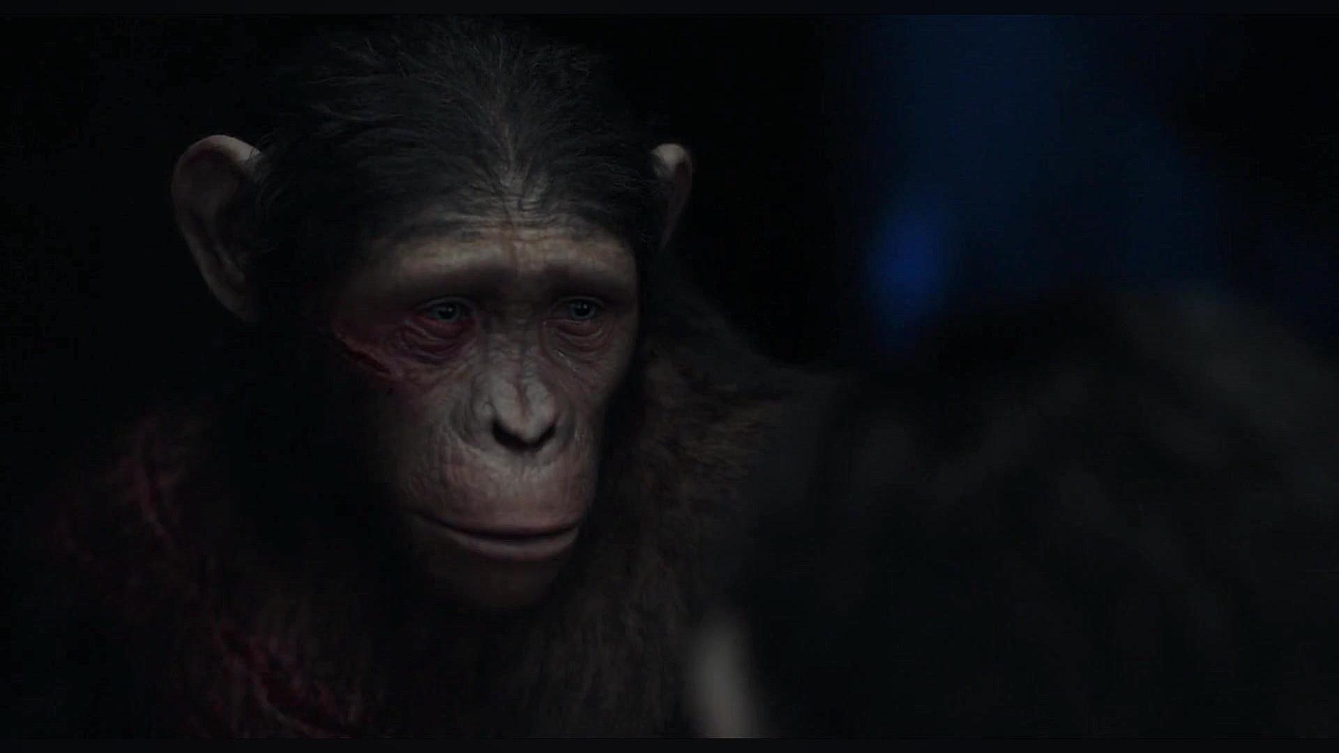 فیلم Dawn of the Planet of the Apes 2014 دوبله فارسی زمان7824ثانیه