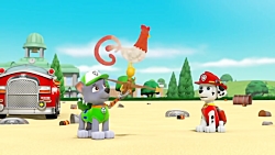 کارتون سگ های نگهبان سگ های نگ...