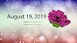 آلبوم عکس عروسی و جشن  5 پلان