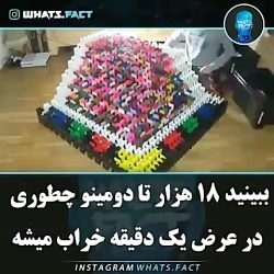 ببینید ۱۸ هزارتا دومینو در عرض...