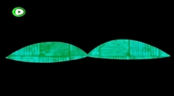 انیمیشن (باب اسفنجی) قسمت 122...