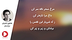 موسیقی سنتی همایون شجریان - تص...