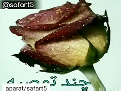 چند توصیه برای یک زندگی بهتر