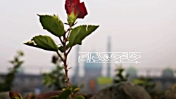 کلیپ عاشقانه امام زمان با آهنگ...