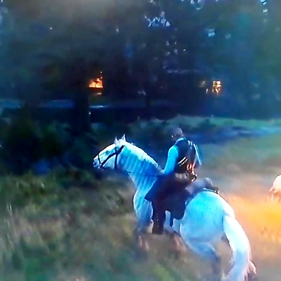 زامبی در رددد zombi in teh red dead