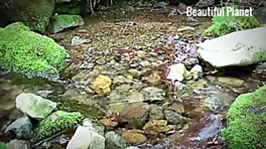 چشمانت را ببند و گوش کن !!!!