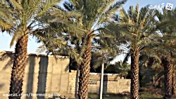 بازدید معاون وزیر تعاون از مرک...