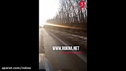 حمله گوزن به یک خودرو عبوری در روسیه