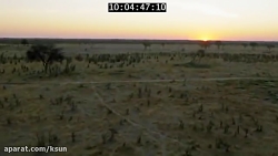 نبرد فیل ها و شیرها