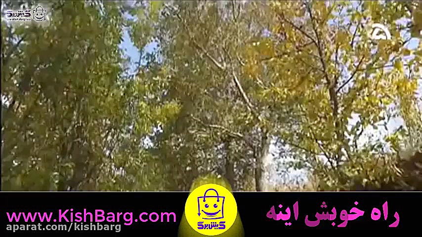 پوستر بزرگ