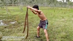 کلیپ کوتاه از گرفتن همزمان چند...