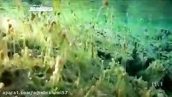 مستند داستان آفرینش جهان قسمت...