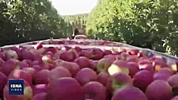 از کشف سیاهچاله ستاره‌ای تا تو...