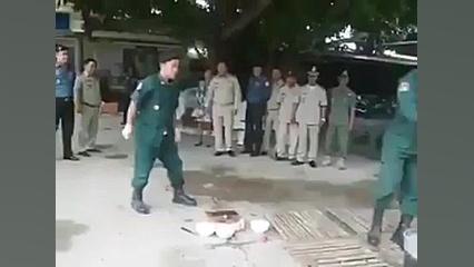 معدوم سازی مرغ هایی که به نیوکاسل وانفولانزا مبتلاشدن مزوتراپی