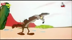 کارتون رود رانر قسمت 499