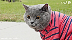 یکم بخنـــــــدیم