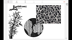 بخش اول تدریس خط به خط فصل «از...