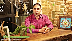 معرفی مشاور : کیارش عباس زاده