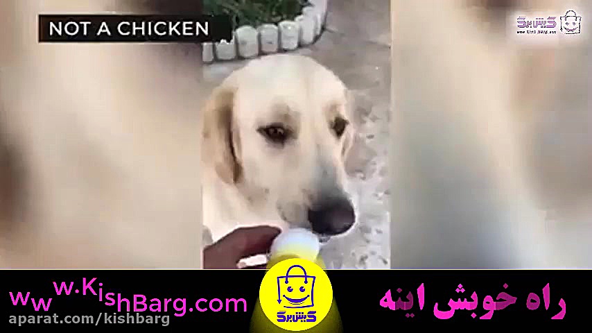 پوستر بزرگ