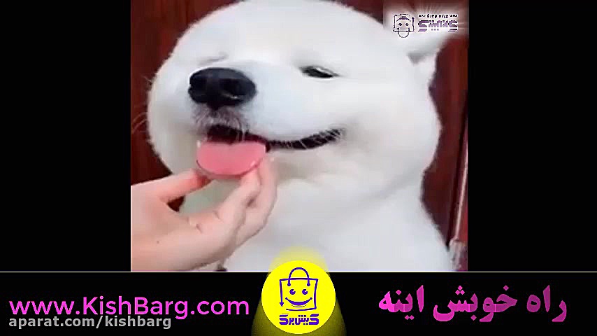 پوستر بزرگ