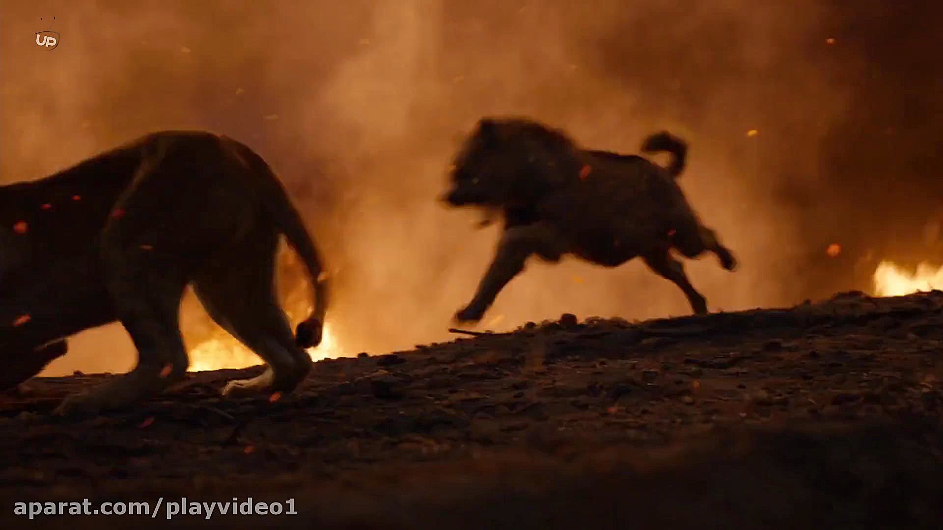 فیلم The Lion King 2019 با کیفیت BluRay زمان7093ثانیه