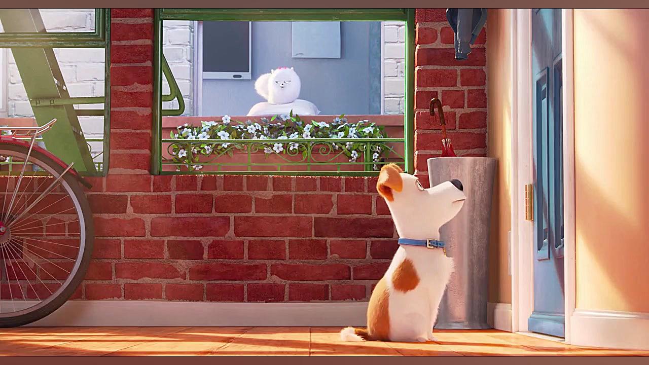 انیمیشن( زندگی پنهان حیوانات)The Secret Life of Pets 2016دوبله فارسی زمان5187ثانیه
