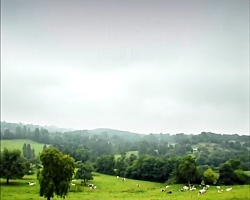 انیمیشن  داستان حشرات  قسمت ۱۹