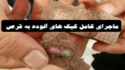 آیا در کیک ها مواد مخدر دیده ش...