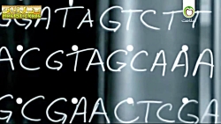 سریال خارجی  دوباره زندگی  قسم...