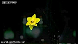 کلیپ کوتاه عاشقانه ...