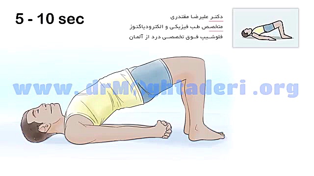 حرکت پل (Bridge) بهترین حرکت برای تقویت عضلات کمر دکتر علیرضا مقتدری | متخصص طب فیزیکی