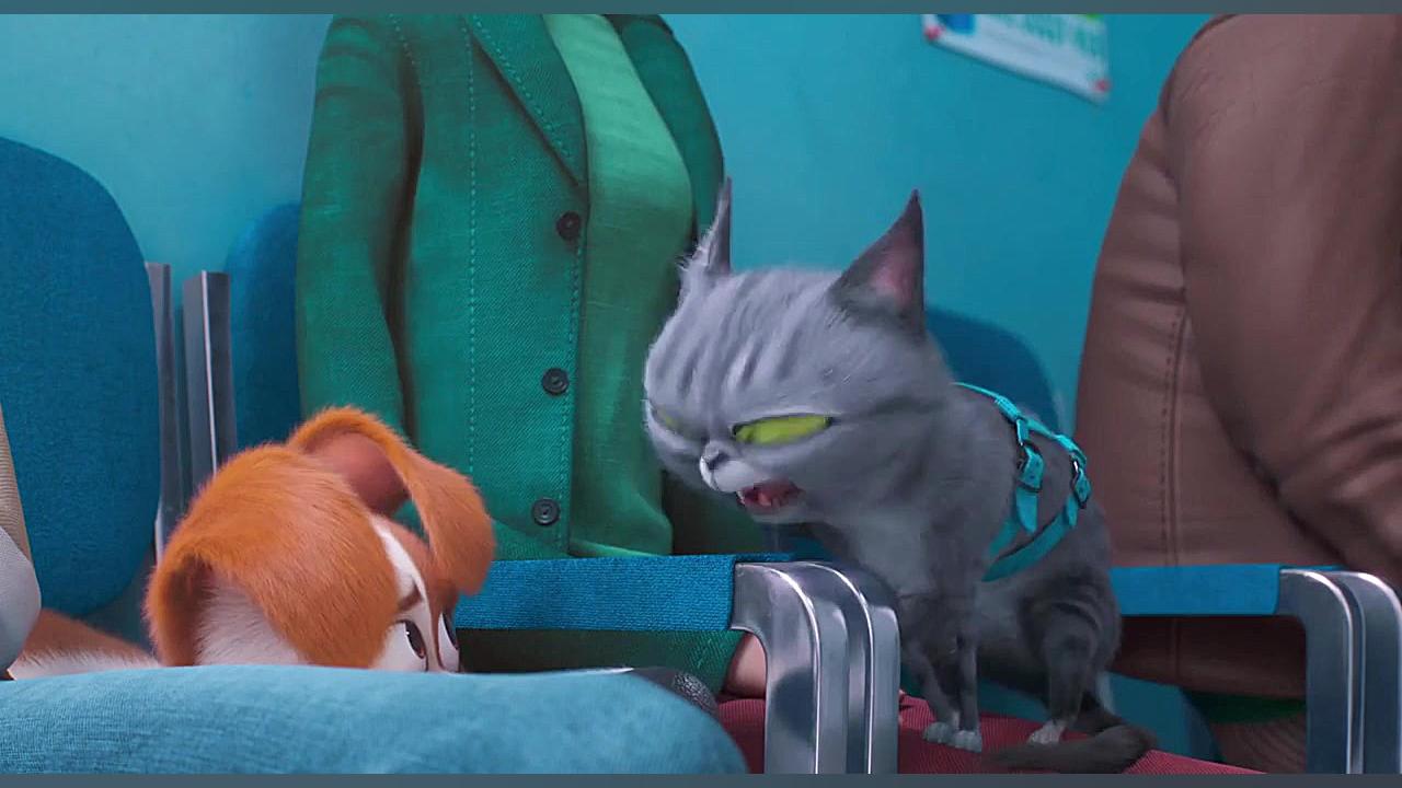 انیمیشن(زندگی پنهان حیوانات خانگی 2)The Secret Life of Pets 2 2019دوبله فارسی زمان5163ثانیه