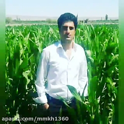 بهترین آهنگ محسن لرستانی