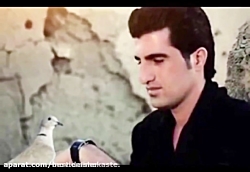 دلیل دستگیری محسن لرستان  محسن...