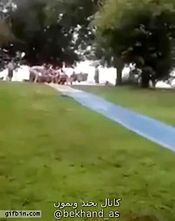 کلیپ خنده دار و طنز