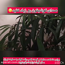 تاثیر لامپ رشد روی گیاهان اپار...