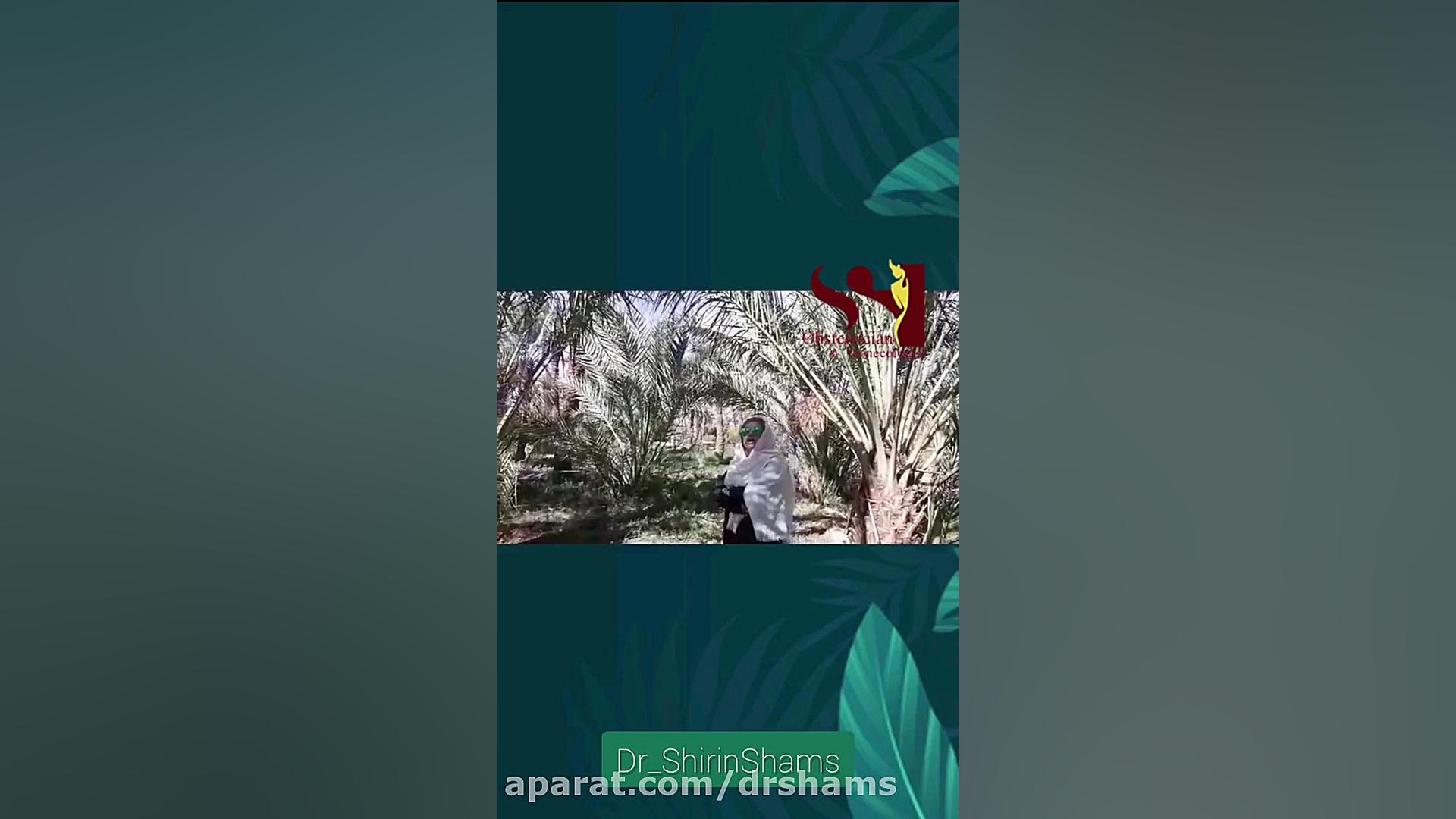 خرما و نقش آن در سلامتی خانم ها دکتر شیرین شمس جراح و متخصص زنان و زایمان
