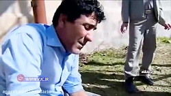 بازگشت گرگ زخمی به دامان طبیعت...